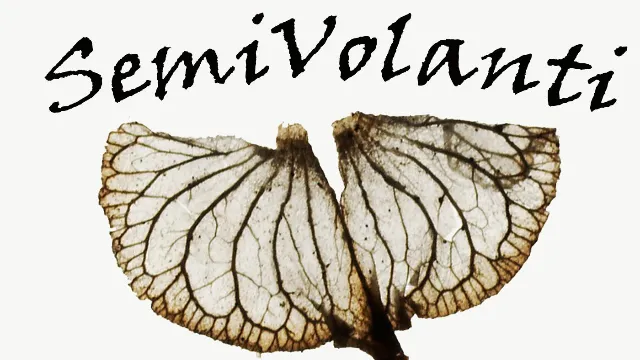 immagine-grande