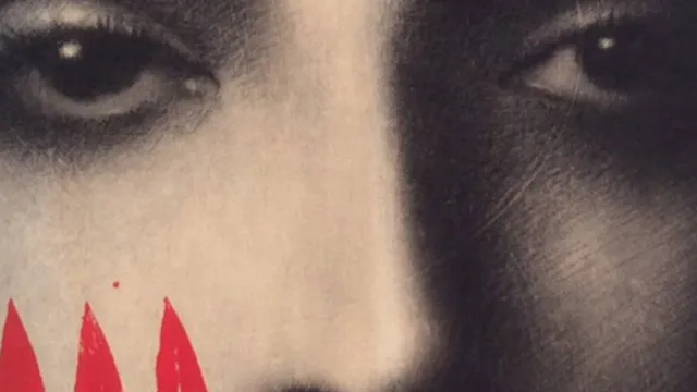 immagine-grande